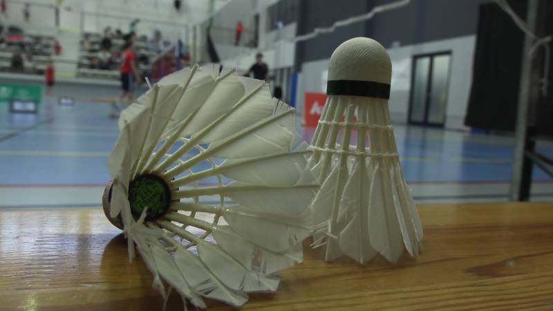 WIELKOPOLSKA BADMINTONEM STOI 